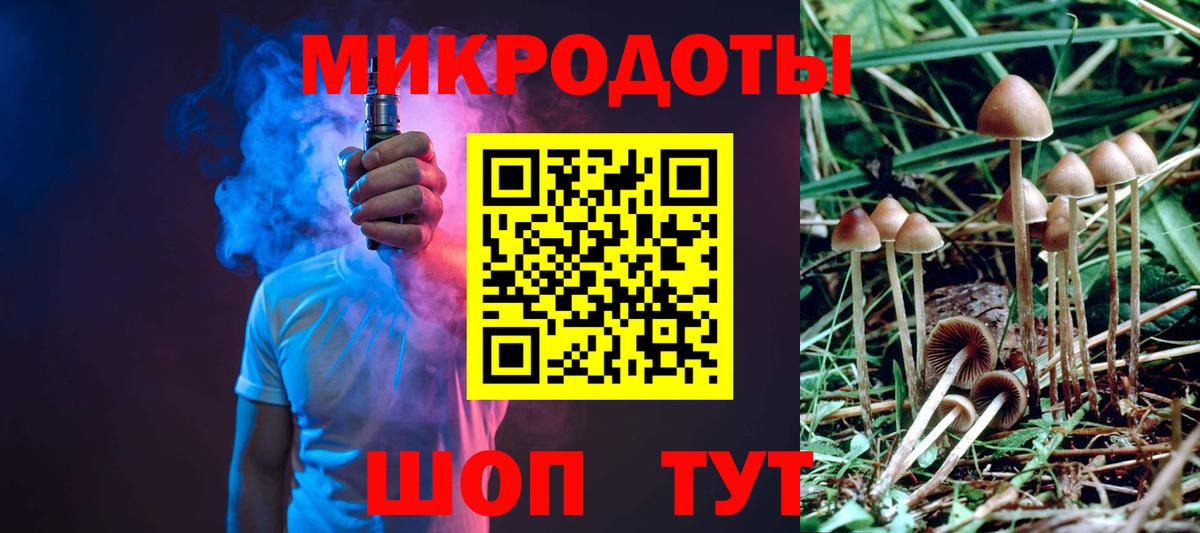 Галлюциногенные грибы Psilocybe Бахчисарай